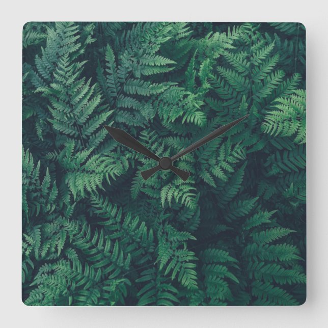 Horloge Carrée Forêt | Fermes des bois (Recto)