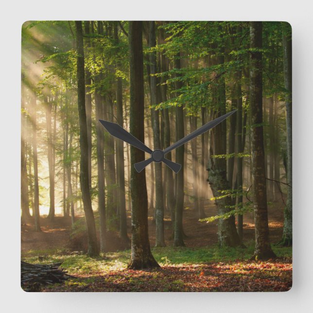 Horloge Carrée Forêt | Forêt d'automne (Recto)
