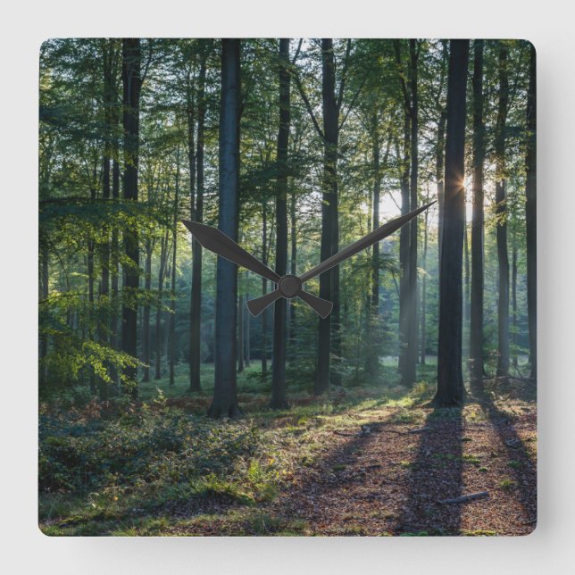 Horloge Carrée Forêt | Forêt Noire Allemagne (Recto)