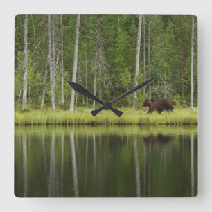 Horloge Carrée Forêt   Ours à la forêt de Taiga Nord de la Finlan