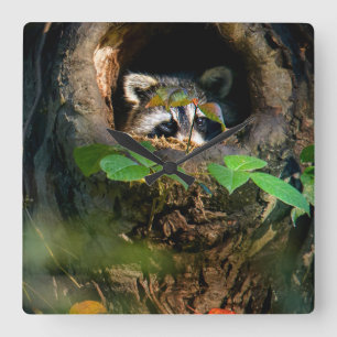 Horloge Carrée Forêt   Raccoon Peeking