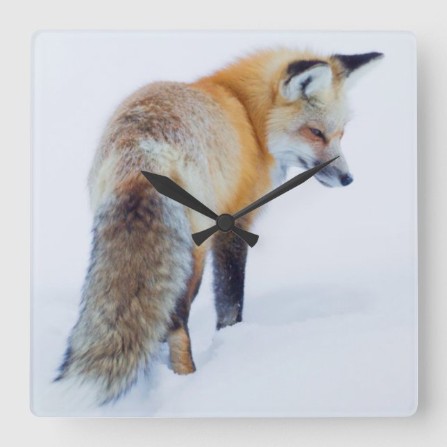 Horloge Carrée Fox rouge en hiver (Recto)
