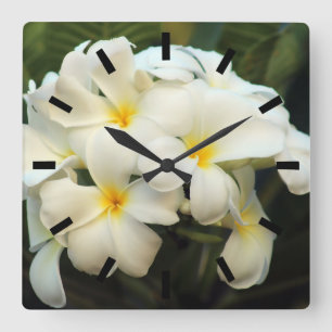 Horloge Carrée Frangipani fleurs de bouquet