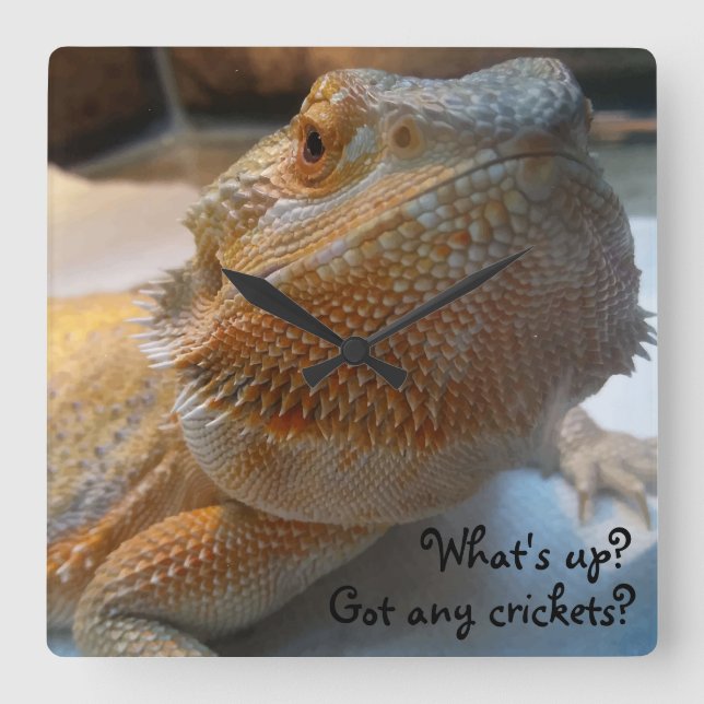 Horloge Carrée Funny Orange Bearded Dragon Close (Recto)
