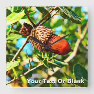 Horloge Carrée Galilee Acorn