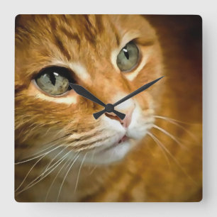 Horloge Carrée Gingembre adorable Tabby Chat Poster Portrait anim