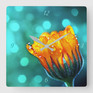 Horloge Carrée Golden Marigold sur Turquoise Bokeh