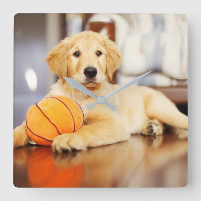 Horloge Carrée Golden Retriever (Recto)