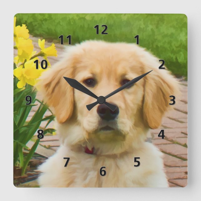 Horloge Carrée Golden Retriever Chien (Recto)