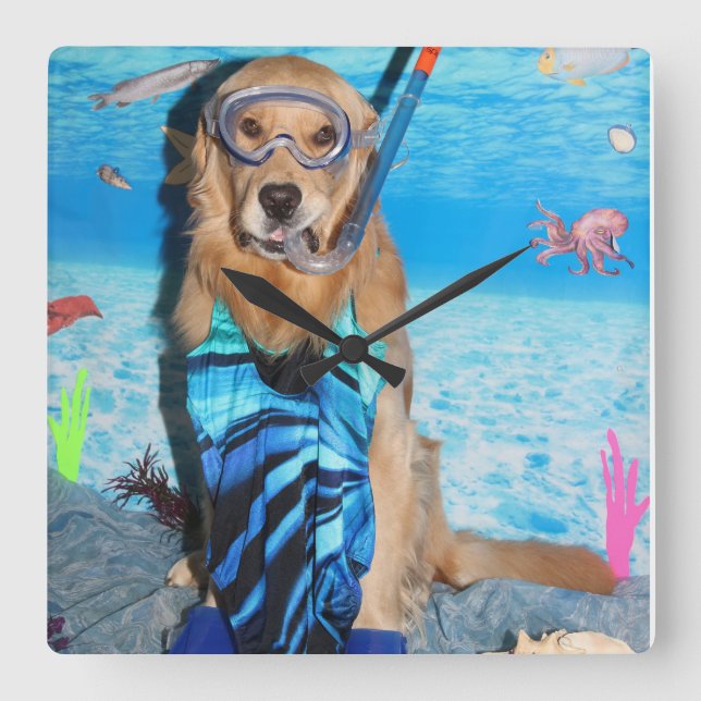 Horloge Carrée Golden retriever Snorkeler (Recto)