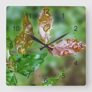 Horloge Carrée gouttes de pluie sur les feuilles