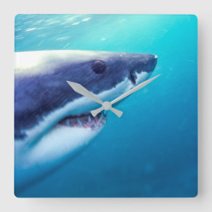 Horloge Carrée Grand requin blanc Afrique du Sud