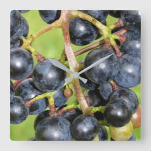 Horloge Carrée Grapes Wall Clock
