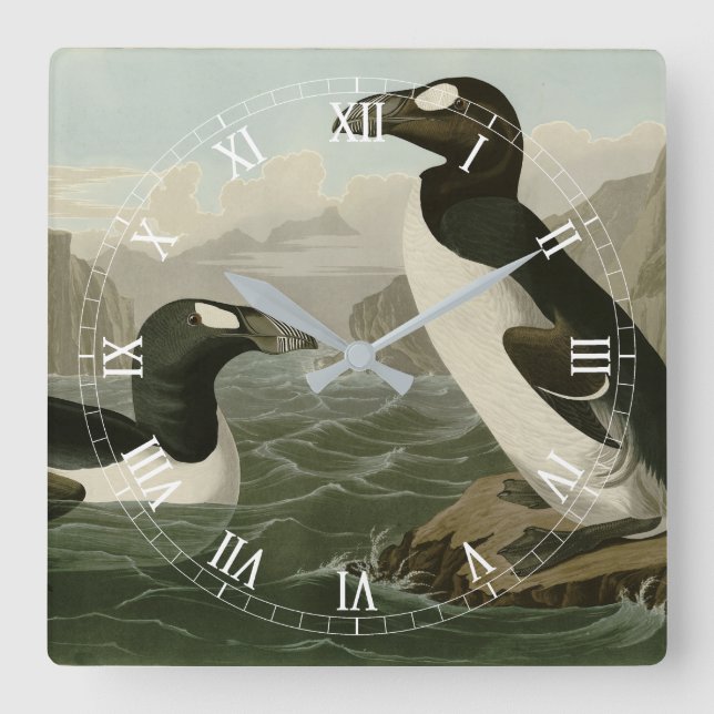 Horloge Carrée Great Auk - John James Audubon's Birds of America (Recto)