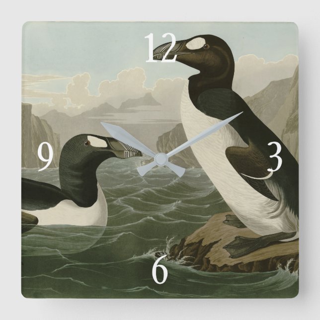 Horloge Carrée Great Auk - John James Audubon's Birds of America (Recto)