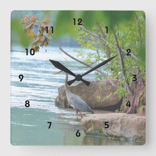 Horloge Carrée Great Blue Heron (Recto)