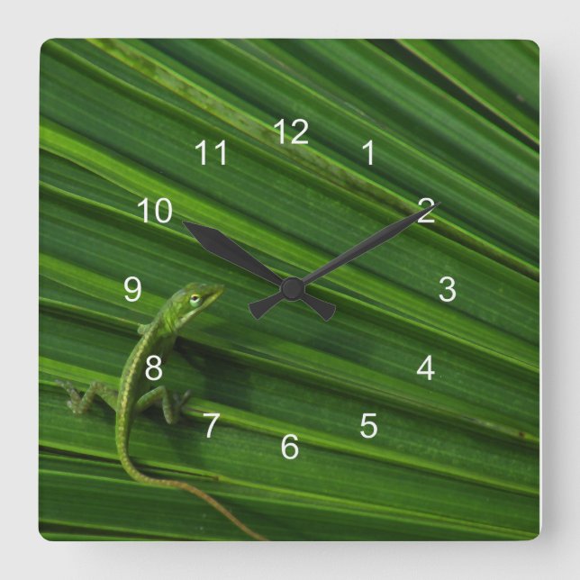 Horloge Carrée Green Lizard Clock (Recto)