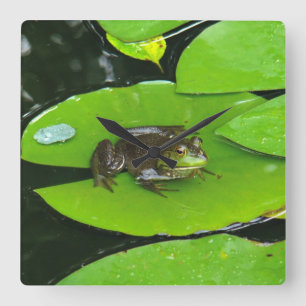 Horloge Carrée Grenouille taureau sur Lilypads