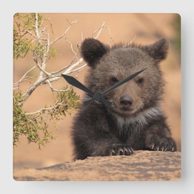 Horloge Carrée Grizzly Bear Cub (Recto)