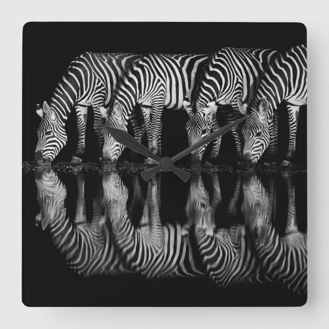 Horloge Carrée Group of Plains Zebra Drink Together at Night (Recto)