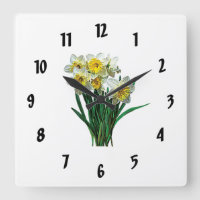 Groupe de jonquilles blanches