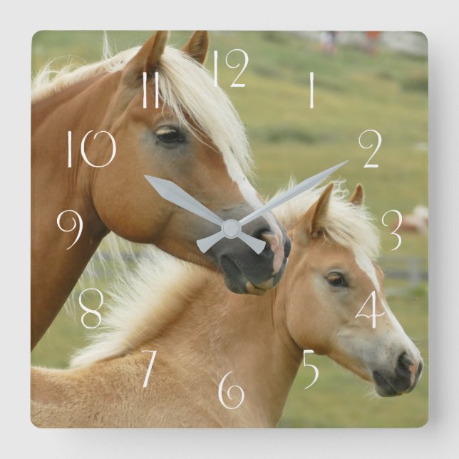 Horloge Carrée Haflinger horse et foal (Recto)