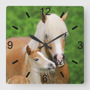 Horloge Carrée Haflinger Horses Joli Foal Kiss maman / plaque à c