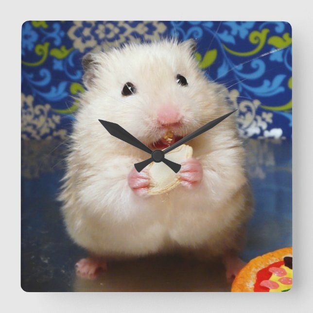 Horloge Carrée Hamster syrien en mousse Kokolinka (Recto)