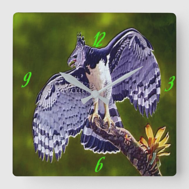 Horloge Carrée "Harpy Eagle" Acrylic Wall Clock (Recto)