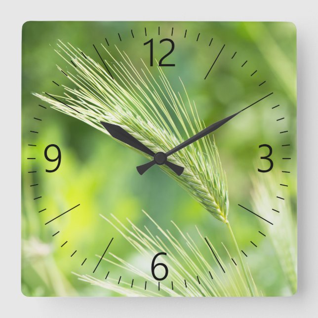 Horloge Carrée Herbe verte (Recto)