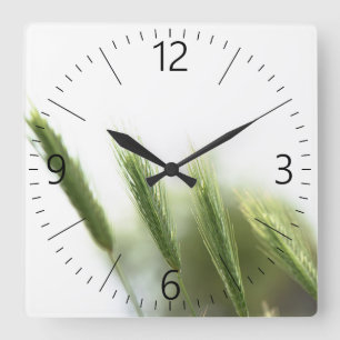 Horloge Carrée Herbe verte