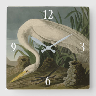 Horloge Carrée Héron blanc, Grandes aigrettes, Oiseaux d'Amérique
