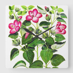 Horloge Carrée Hibiscus italien rose, imprimé vintage