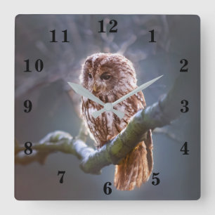 Horloge Carrée Hibou