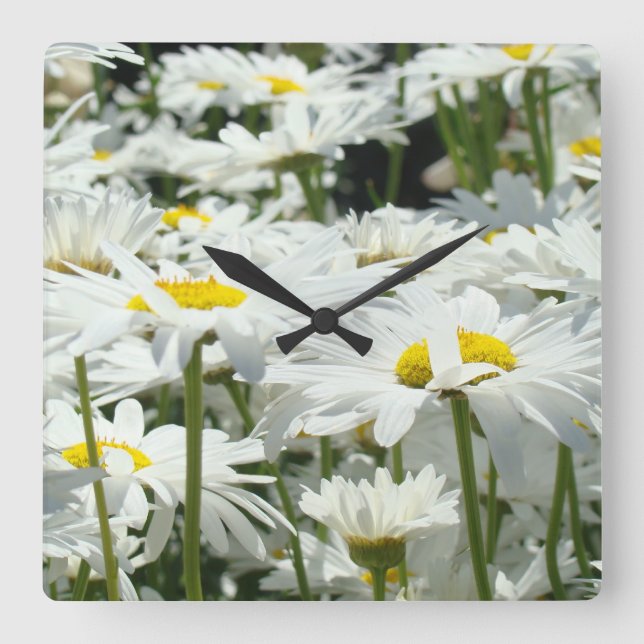 Horloge Carrée Horaires Accueil Décor Designer Floral Daisy Fleur (Recto)