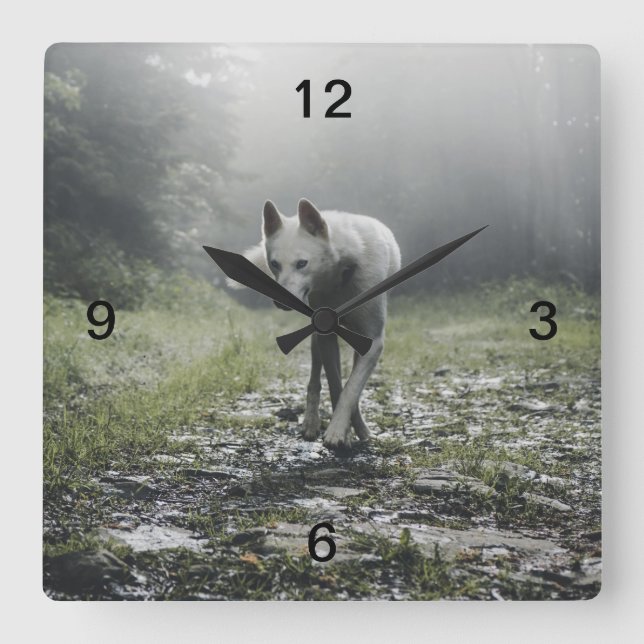 Horloge Carrée Husky Sibérien Blanc (Recto)