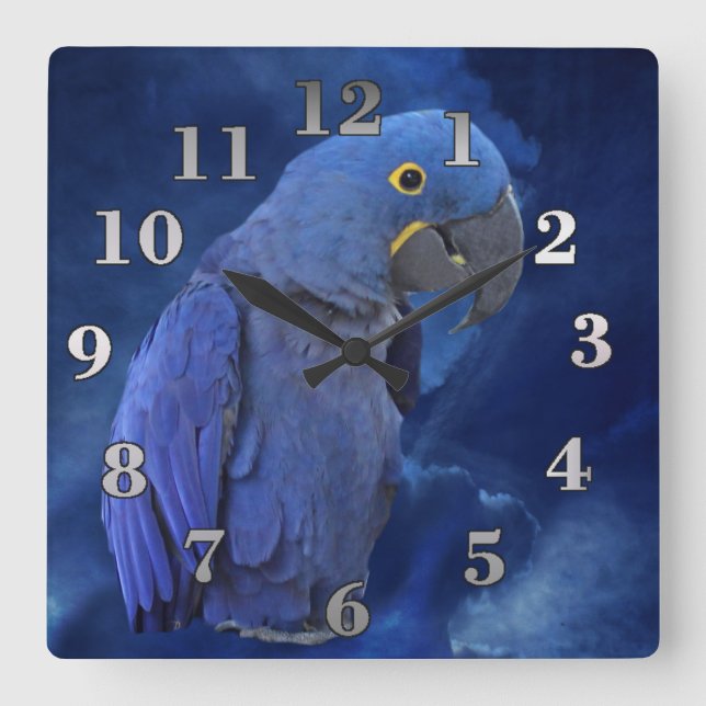 Horloge Carrée Hyacinth Macaw (Recto)