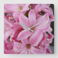 hyacinthe rose