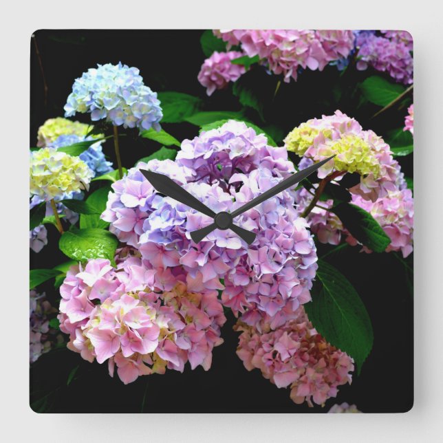 Horloge Carrée Hydrangea (Recto)