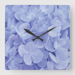 Horloge Carrée Hydrangée bleue