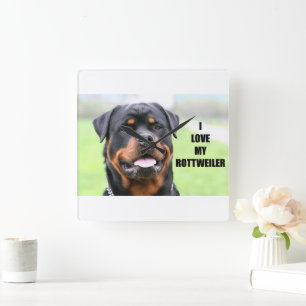Horloge Carrée I Love my Rottweiler