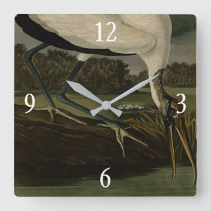 Horloge Carrée Ibis à tête noire (Ibis, Cigogne) : Audubon Birds