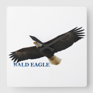 Horloge Carrée Image aigle pour Carré-Wall-Clock
