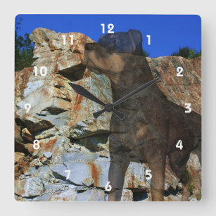 Horloge Carrée Imaginaire Rottweiler Dog Et Rock Wall Cliff