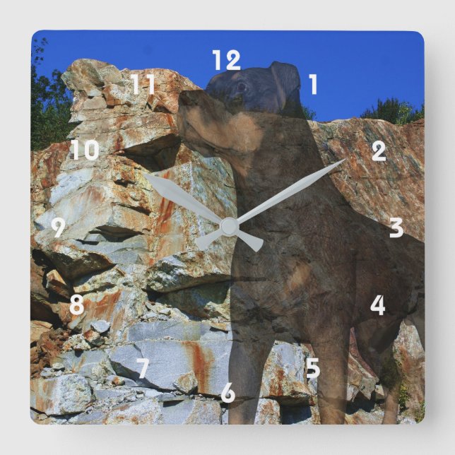 Horloge Carrée Imaginaire Rottweiler Dog Et Rock Wall Cliff (Recto)