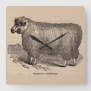 Horloge Carrée Imprimé au 19e siècle année Cotswold brebis