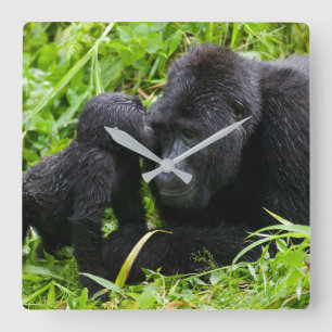 Horloge Carrée Infant Mountain Gorilla Kisses Silverback
