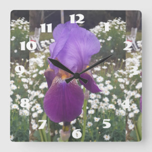 Horloge Carrée Iris Violet Iris Blanc Fleur de jardin Daisy