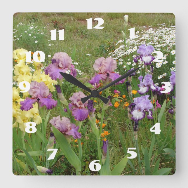 Horloge Carrée Iris Violet Iris Blanc Fleur de jardin Daisy  (Recto)