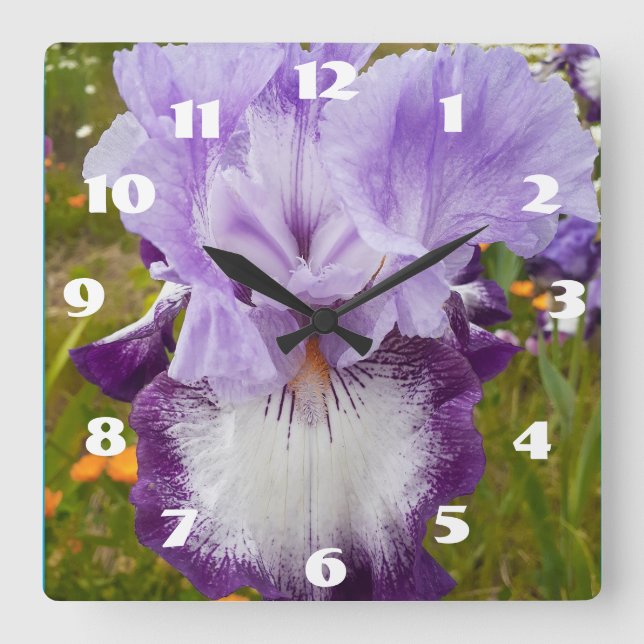 Horloge Carrée Iris Violet Iris Fleur de jardin Lilas Daisy  (Recto)